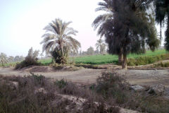 Landscape at the edge of the railway line between Al Faiyum and Al Wasta in Egypt.