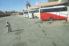 At the bus station in Ouarzazate Morocco