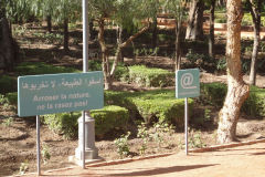 A park in Marrakech, Morocco