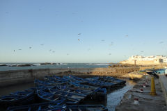 Harbour in Essaouira, Morocco