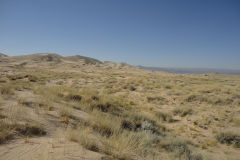 Landscape in the Mojave Desert, California, USA