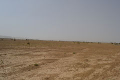 Sahara desert landscape at Mhamid, Morocco