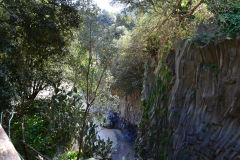 Views inside the Gole Alcantara Botanical and Geological Park, Sicily, Italy