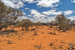 Landscape near Mount Magnet in the Outback of Western Australia