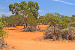 Landscape around Shark Bay in Western Australia