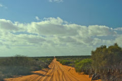 Dirt road in the way to Big Lagoon at the Shark Bay in Western Australia