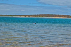 Beach scene at Big Lagoon, Shark Bay, Western Australia