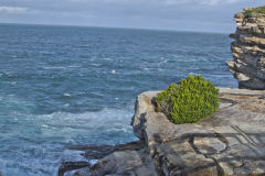 Cliffs to the Tasman Sea in Winter at South Head Sydney, Australia