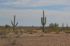 Landscape near Phoenix, Arizona, USA