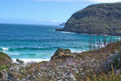 View from walking to Remarkable Cave on Tasman Peninsula Tasmania.