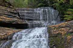 Water fall in Mount Field National Park Tasmania
