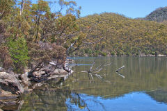 A lake in Mount Field National Park Tasmania