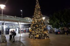 The christmas tree in front of the airport in Sydney