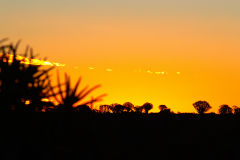 Sunset in the Kalahari Desert in Namibia