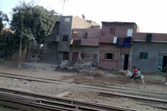 Buildings on the edge of the railway line between Al Faiyum and Al Wasta in Egypt.