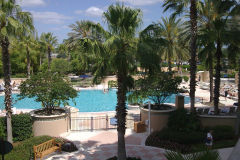 Pool at Gaylord Palms Orlando, Florida, USA