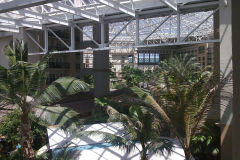 View from my balcony inside Gaylord Palms, Orlando, Florida, USA