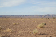 Desert Landscape on the road between Ouarzazate and Mhamid in Morocco