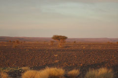 Desert Landscape on the road between Ouarzazate and Mhamid in Morocco