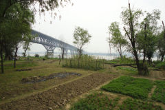 A walk along the Yangtze River in Nanjing, China