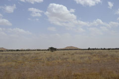 Sahara desert landscape between Zagora and Merzouga, Morocco
