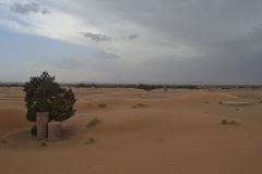 A qanat in the sand dunes of Merzouga, Morocco