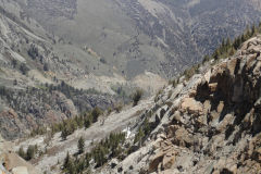 Landscape in Yosemite National Park, California, USA