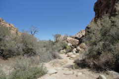 Landscape in Joshua Tree National Park, California, USA