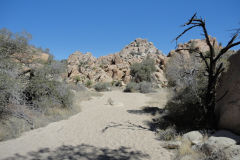 Landscape in Joshua Tree National Park, California, USA