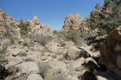 Landscape in Joshua Tree National Park, California, USA