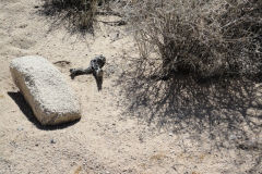 Landscape in Joshua Tree National Park, California, USA