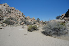 Landscape in Joshua Tree National Park, California, USA