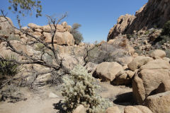 Landscape in Joshua Tree National Park, California, USA