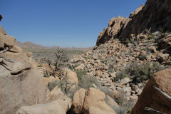 Landscape in Joshua Tree National Park, California, USA