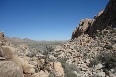 Landscape in Joshua Tree National Park, California, USA