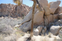 Landscape in Joshua Tree National Park, California, USA