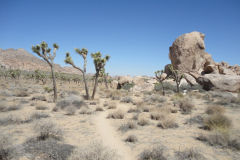 Landscape in Joshua Tree National Park, California, USA