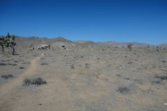 Landscape in Joshua Tree National Park, California, USA