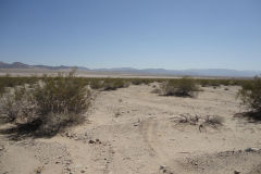 Landscape in Joshua Tree National Park, California, USA