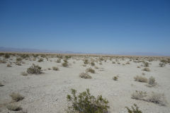 Landscape in the Mojave Desert, California, USA