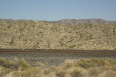 Landscape in the Mojave Desert, California, USA