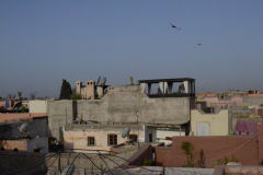 Scene over the roofs in Marrakech, Morocco