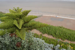 Beach view from Sidi Ifni, Morocco