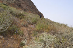 Landscape around Sidi Ifni, Morocco