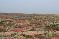 Landscape around Sidi Ifni, Morocco