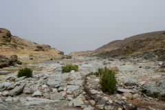 Landscape south of Sidi Ifni, Morocco in direction of Foum Assaka