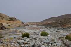 Landscape south of Sidi Ifni, Morocco in direction of Foum Assaka