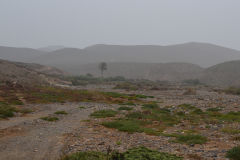 Landscape south of Sidi Ifni, Morocco in direction of Foum Assaka
