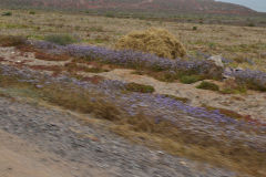 Landscape south of Sidi Ifni, Morocco in direction of Foum Assaka