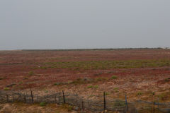 Landscape south of Sidi Ifni, Morocco in direction of Foum Assaka